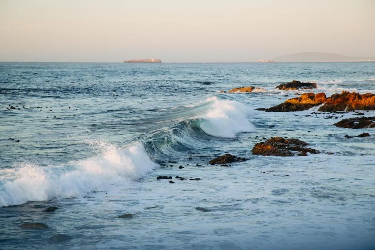 Albatross Guest House Cape Town South Africa