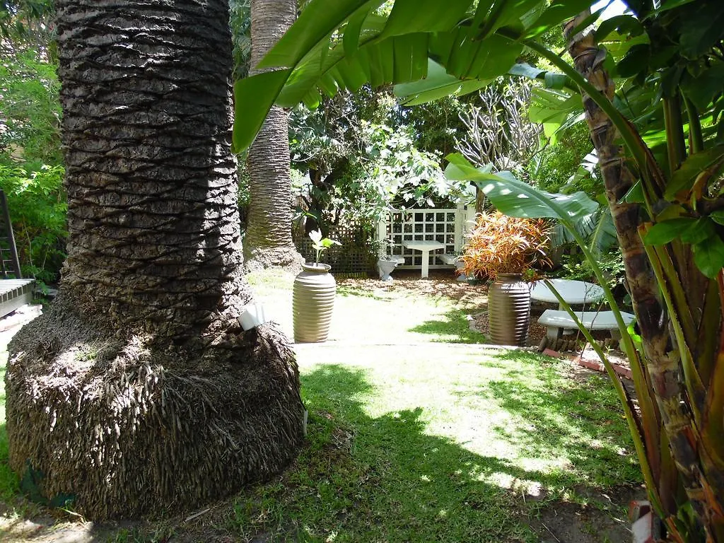 Albatross Guest House Cape Town 3*,